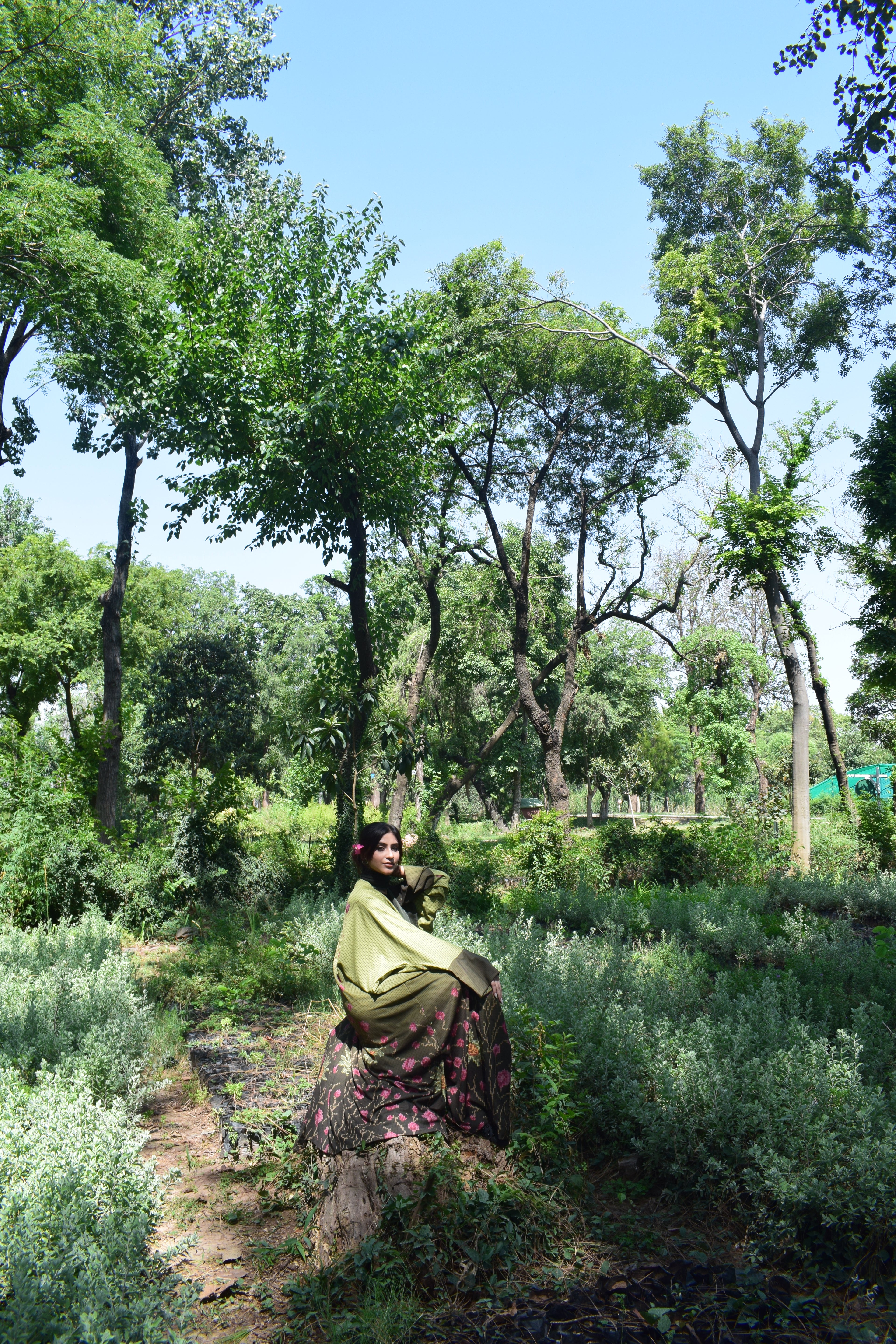 Pixel green (Bisht)